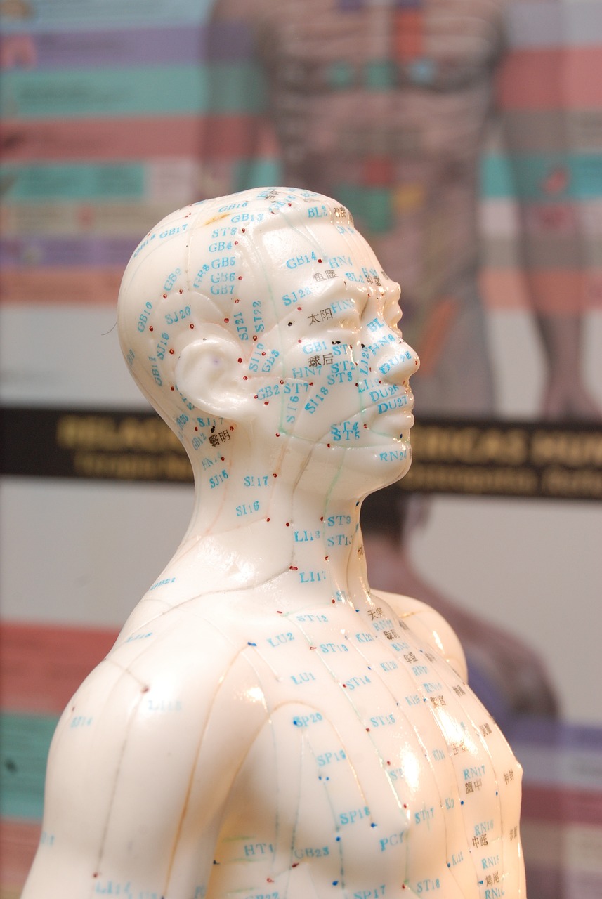 Man-shaped acupuncture point doll illustrating key points for acupuncture therapy.