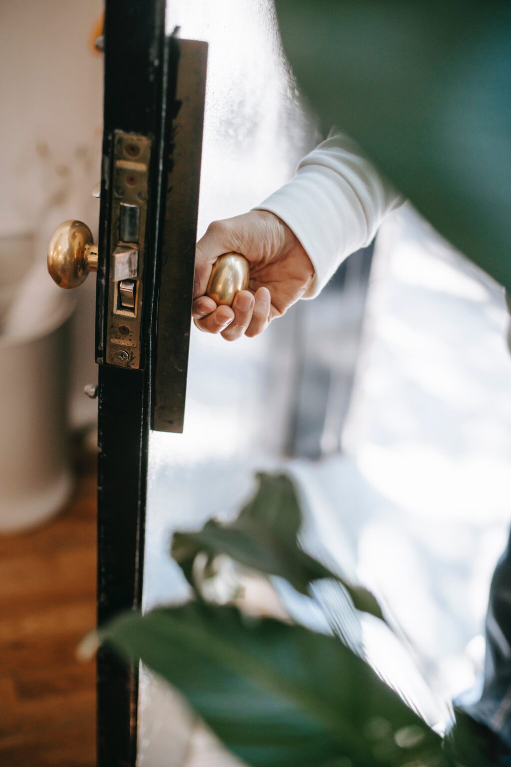 Opening the door to a house with a lush green plant in the foreground, showcasing beautiful hardwood floors inside